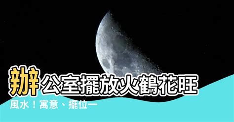 火鶴 風水|【火鶴風水】「火鶴風水」秘訣必看！招財轉運、桃花。